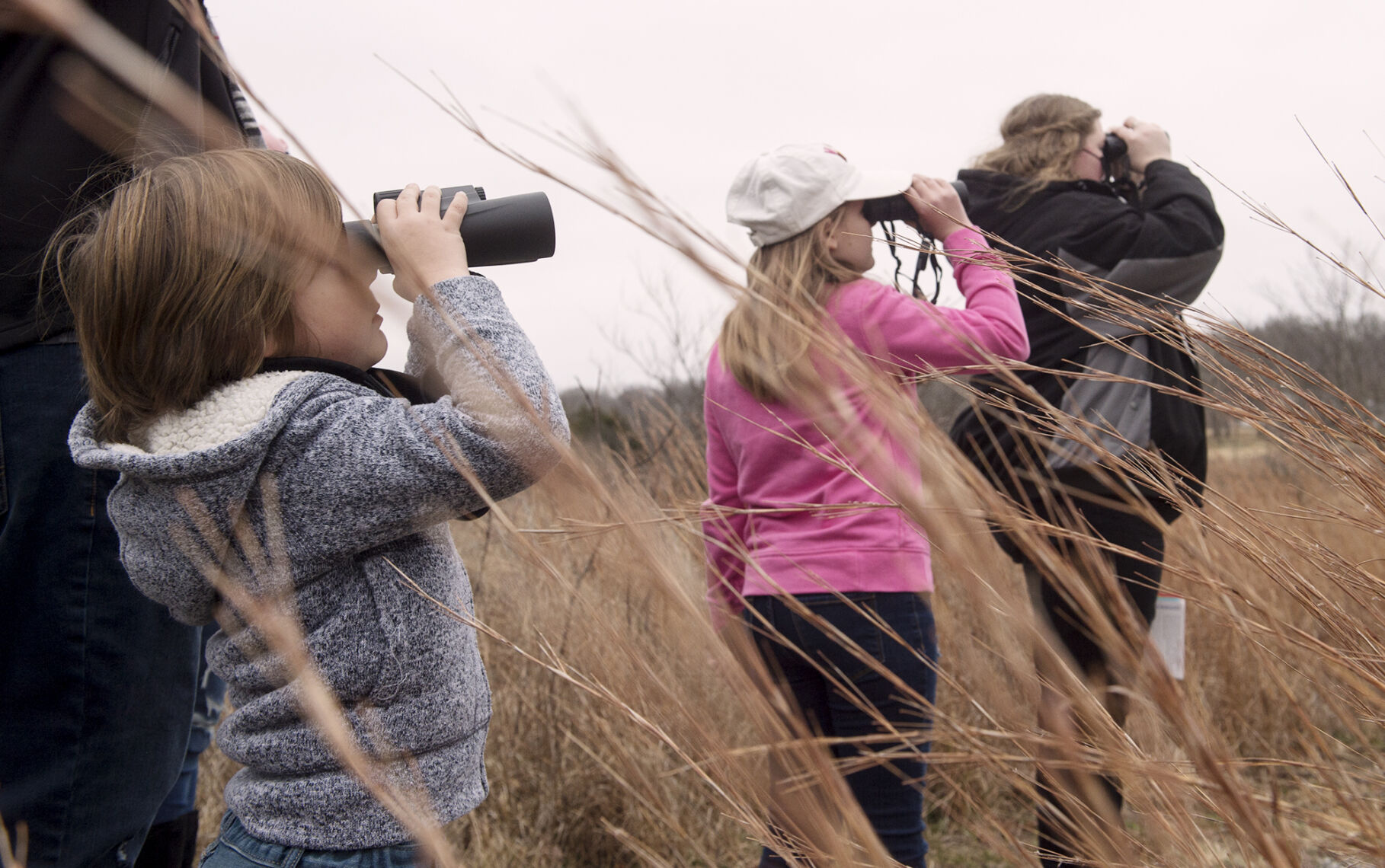 Bird Count